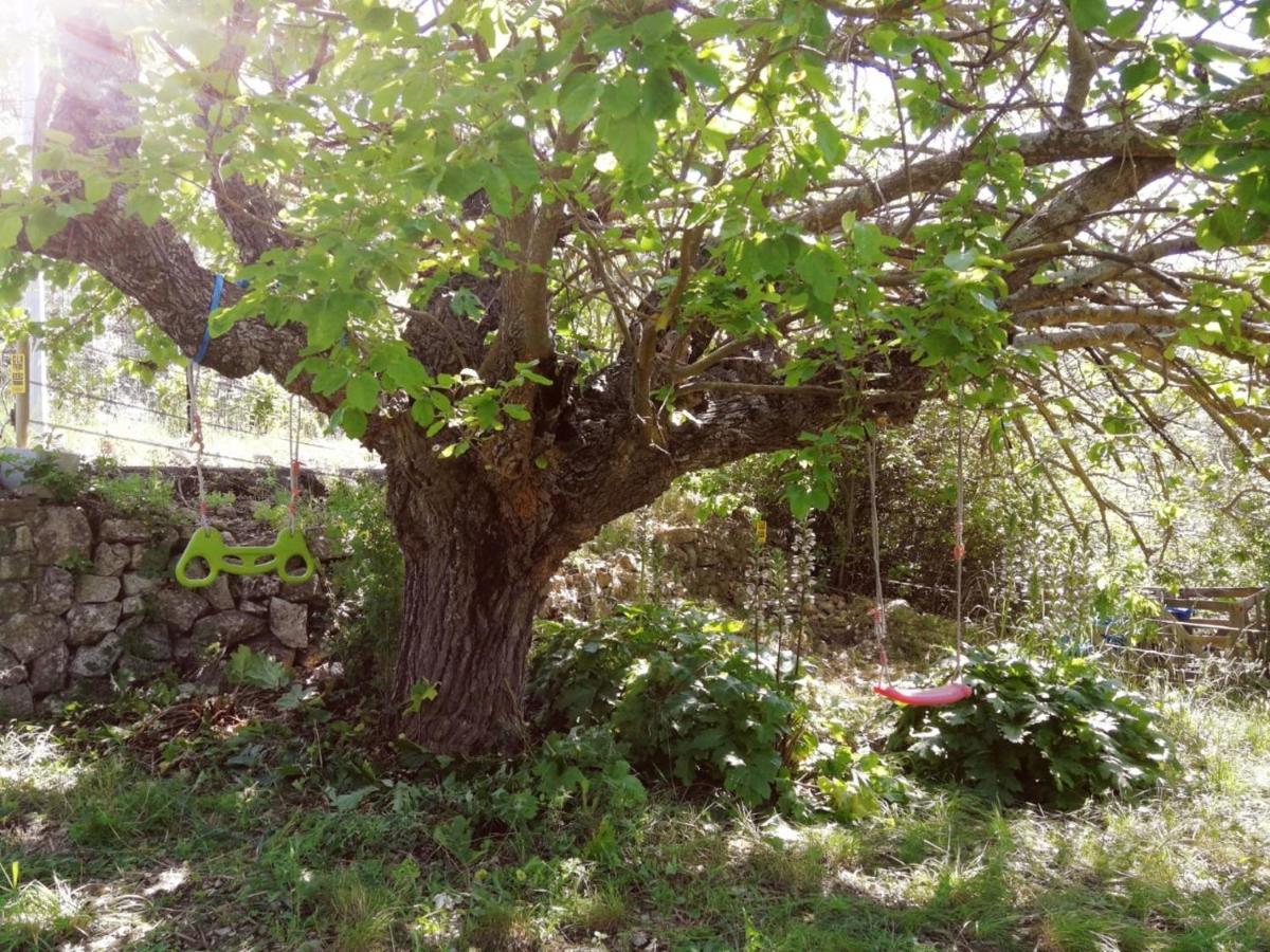 Bastide Provencale Les Muriers D'Engaspaty Сейан Экстерьер фото